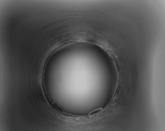 X0000089740003200706281616