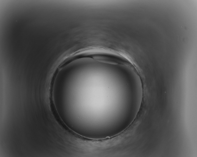 X0000089740007200706281616