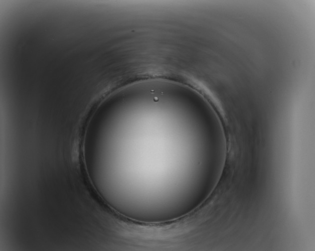 X0000089740010200706281616