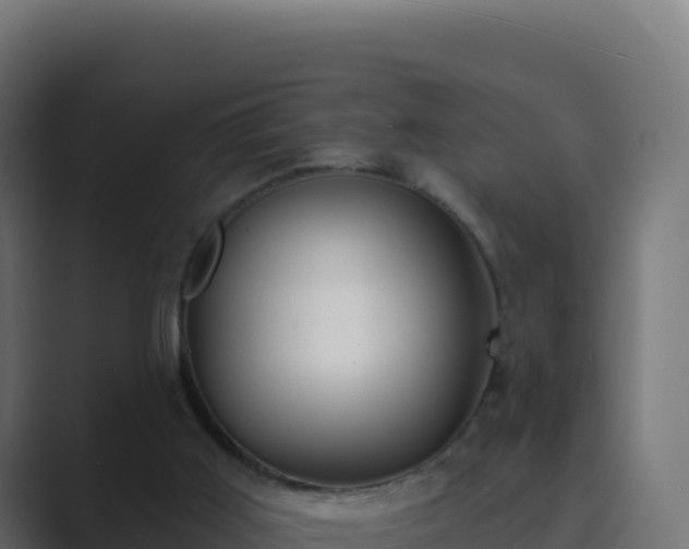 X0000089740011200706281616