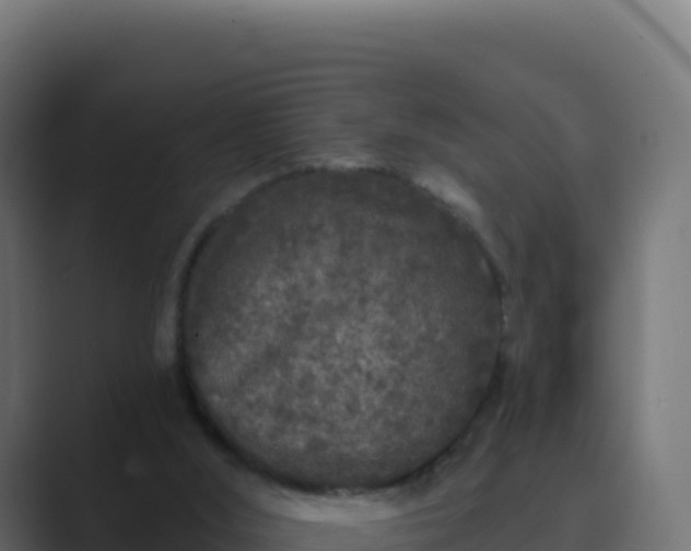 X0000089740012200706281616