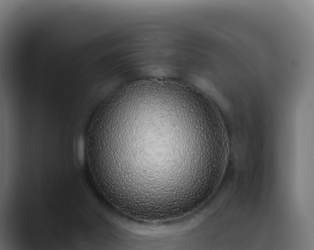 X0000089740014200706281616