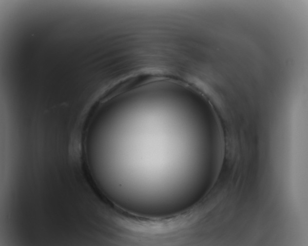 X0000089740015200706281615