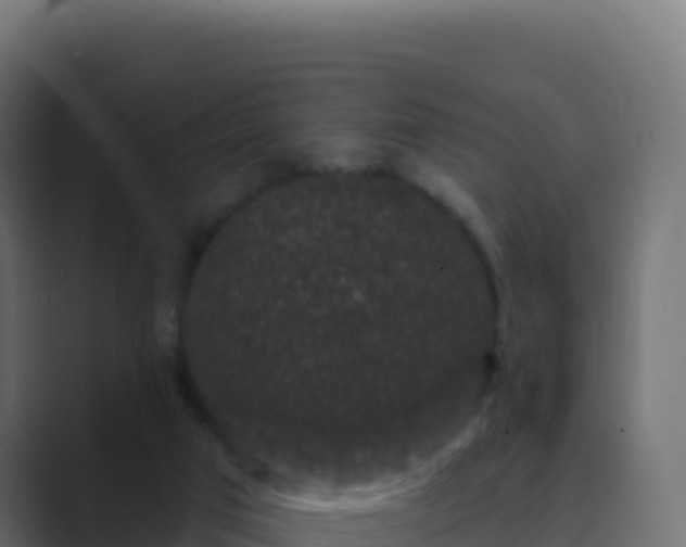 X0000089740017200706281615