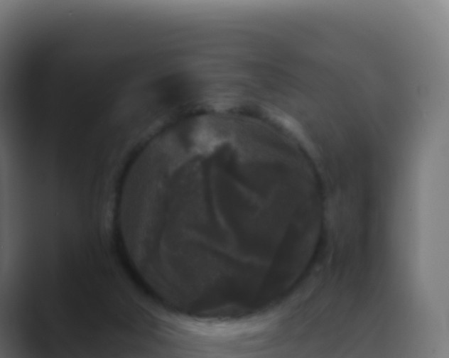 X0000089740018200706281615