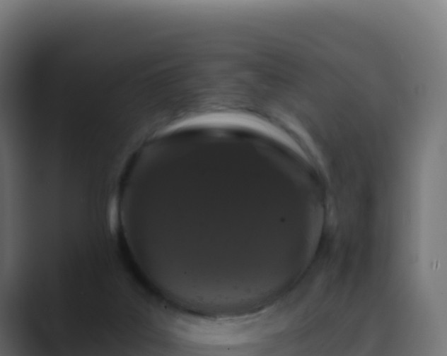 X0000089740019200706281615