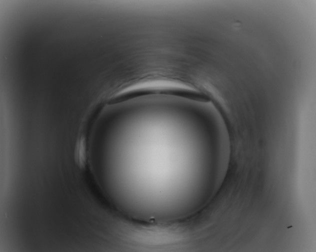 X0000089740020200706281615