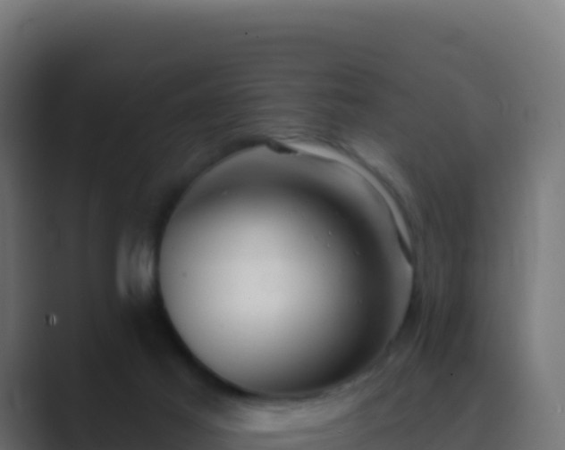 X0000089740021200706281615