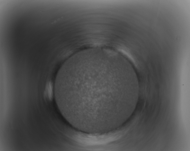 X0000089740022200706281615