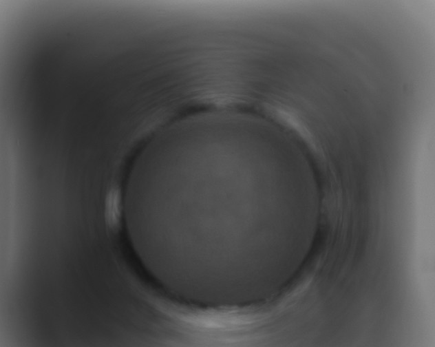 X0000089740024200706281615