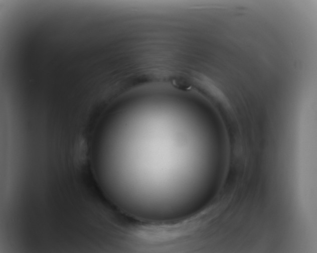 X0000089740025200706281615