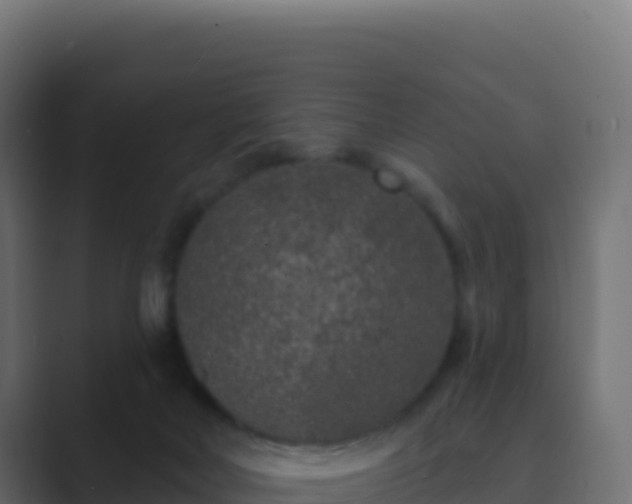 X0000089740026200706281615