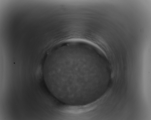 X0000089740029200706281615