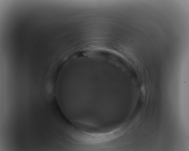 X0000089740031200706281615