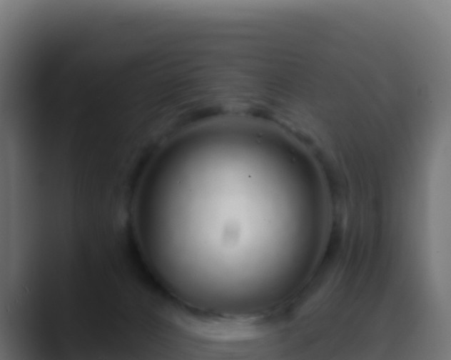 X0000089740032200706281615