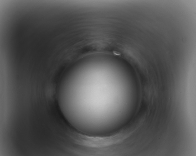 X0000089740034200706281615