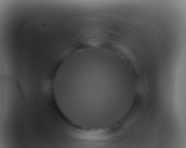 X0000089740036200706281615