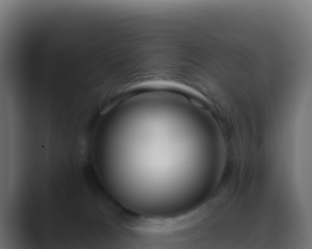 X0000089740037200706281615