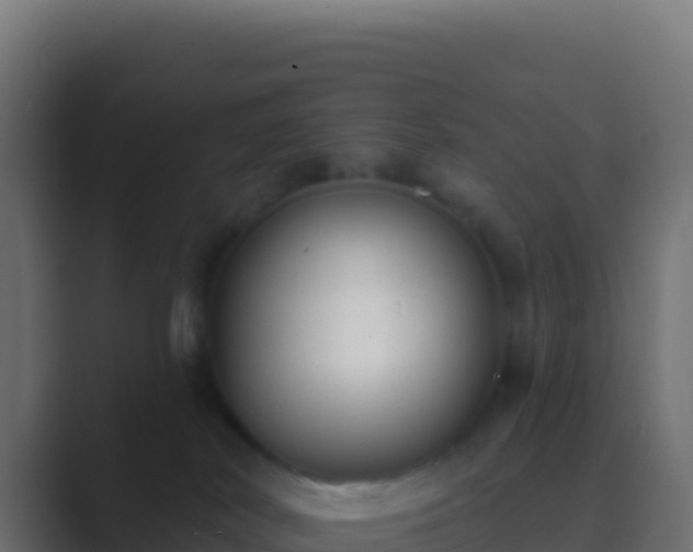 X0000089740038200706281615