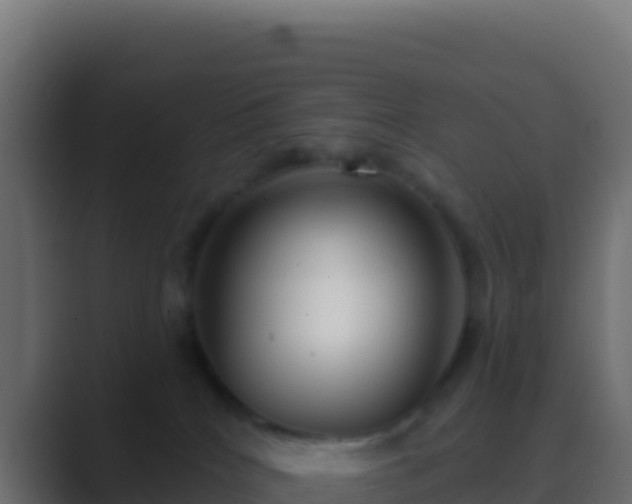 X0000089740040200706281615