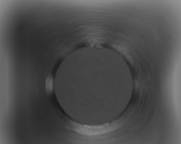 X0000089740042200706281615