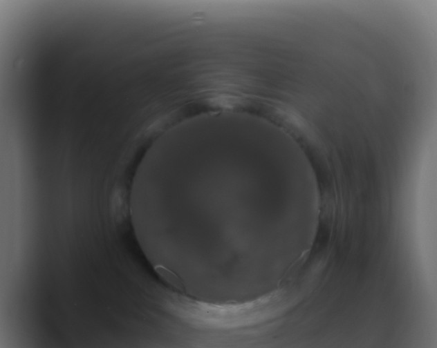 X0000089740043200706281615