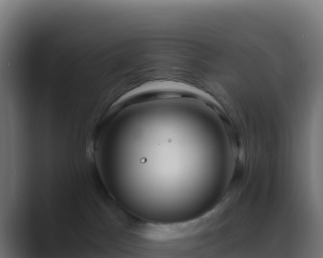 X0000089740045200706281615