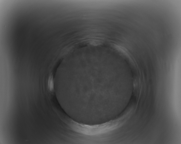 X0000089740046200706281615