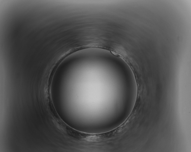 X0000089740050200706281615