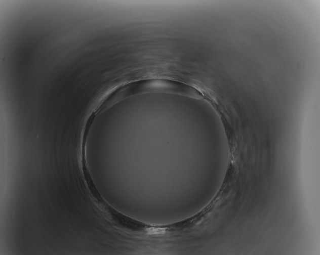 X0000089740052200706281615