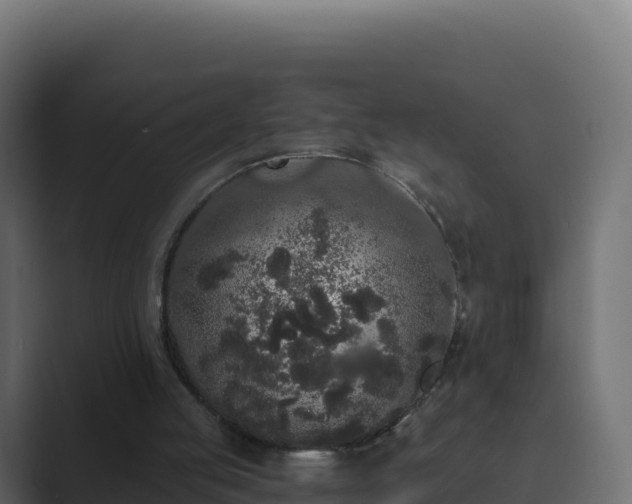 X0000089740053200706281615