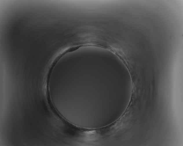 X0000089740054200706281615