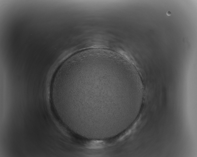 X0000089740055200706281615