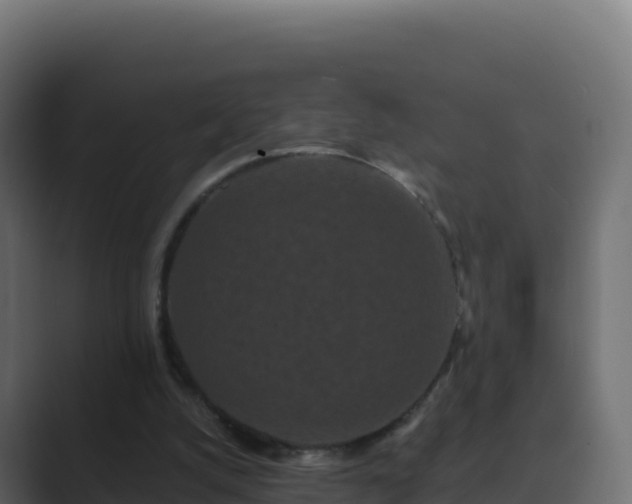 X0000089740056200706281615