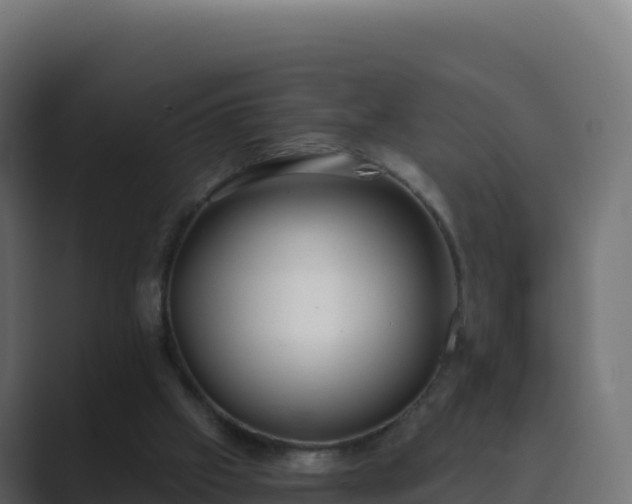 X0000089740057200706281615