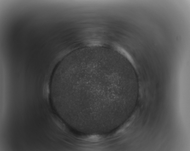 X0000089740059200706281615