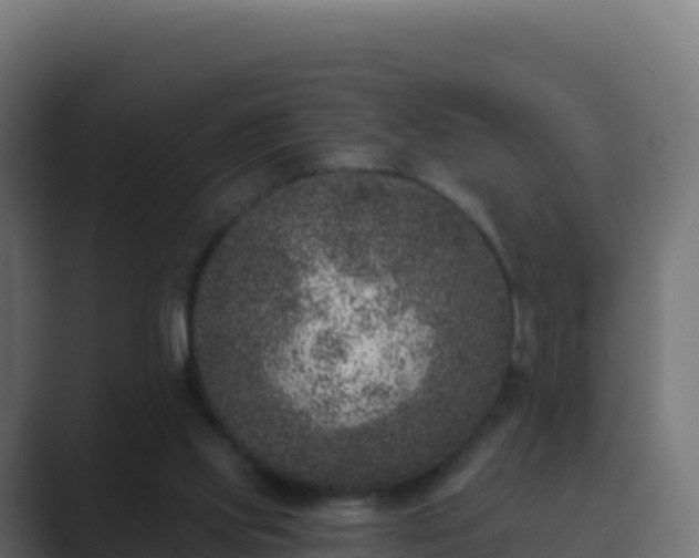 X0000089740061200706281615