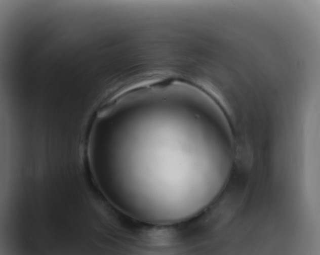 X0000089740063200706281615