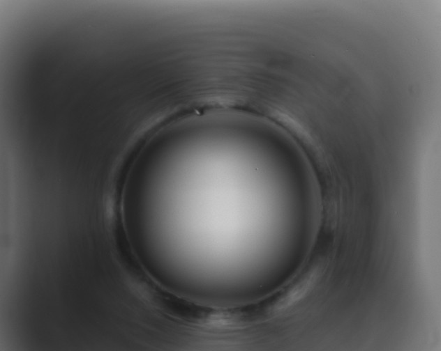 X0000089740064200706281615