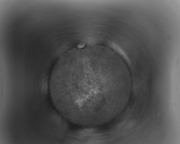 X0000089740065200706281615