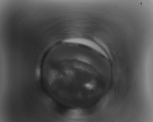 X0000089740067200706281615