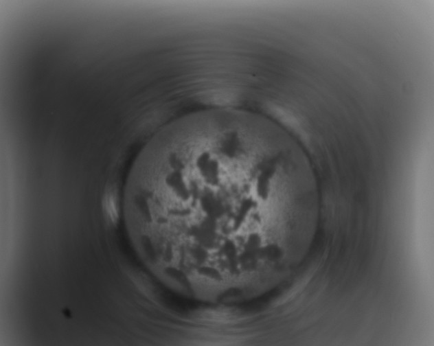 X0000089740069200706281615