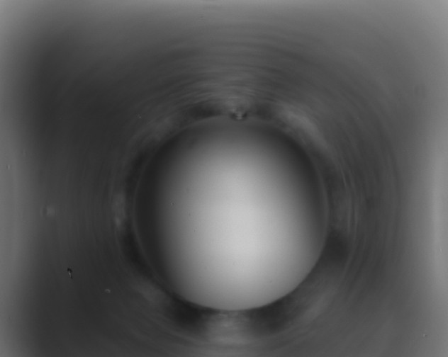 X0000089740077200706281615