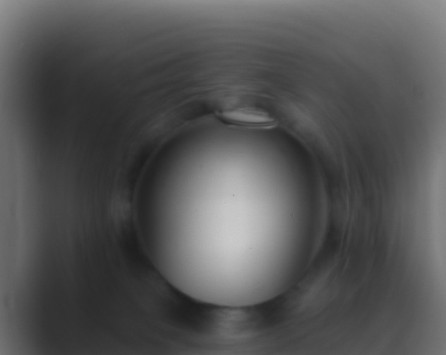 X0000089740085200706281615