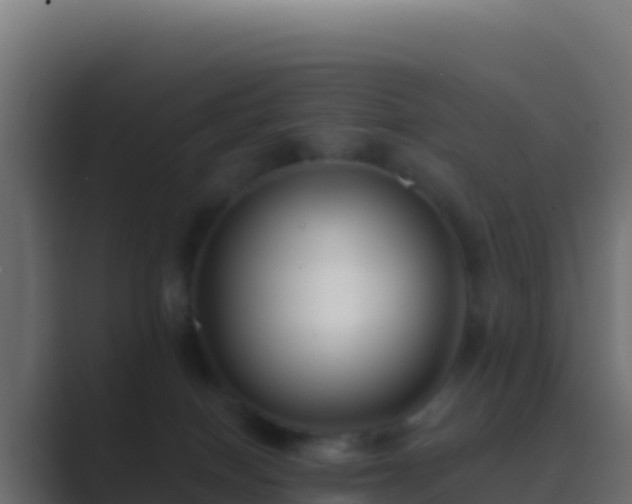 X0000089740086200706281615