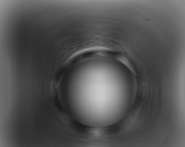 X0000089740088200706281615