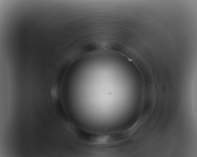 X0000089740090200706281615