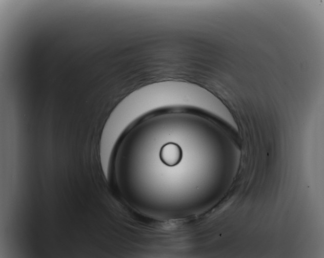 X0000089740096200706281615