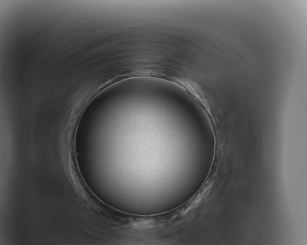 X0000089740097200706281615