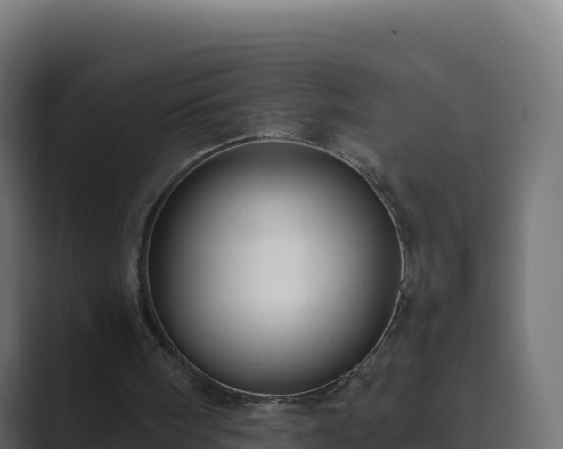 X0000089740098200706281615